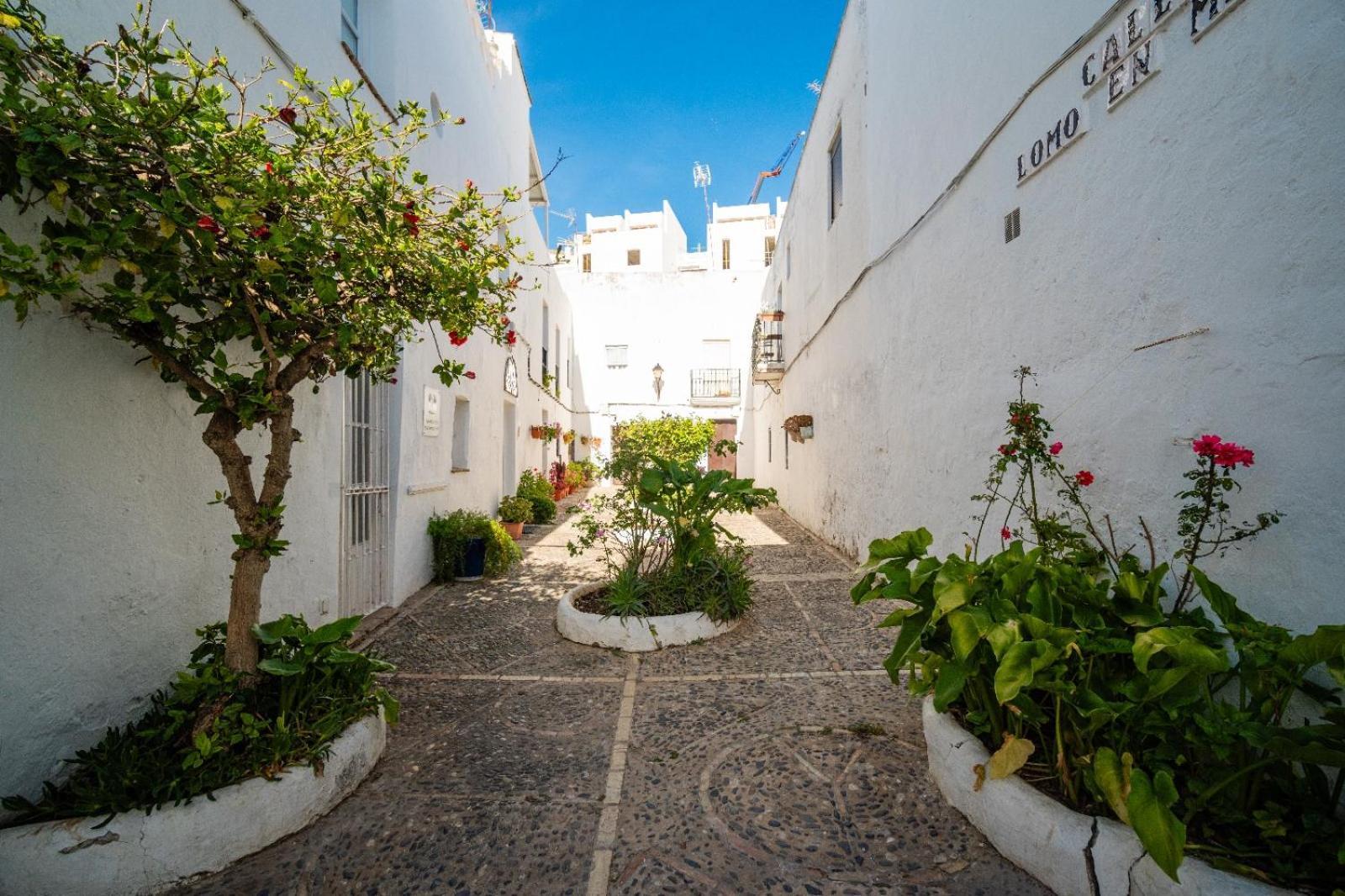 Willa Casa Hibiscus Vejer de la Frontera Zewnętrze zdjęcie